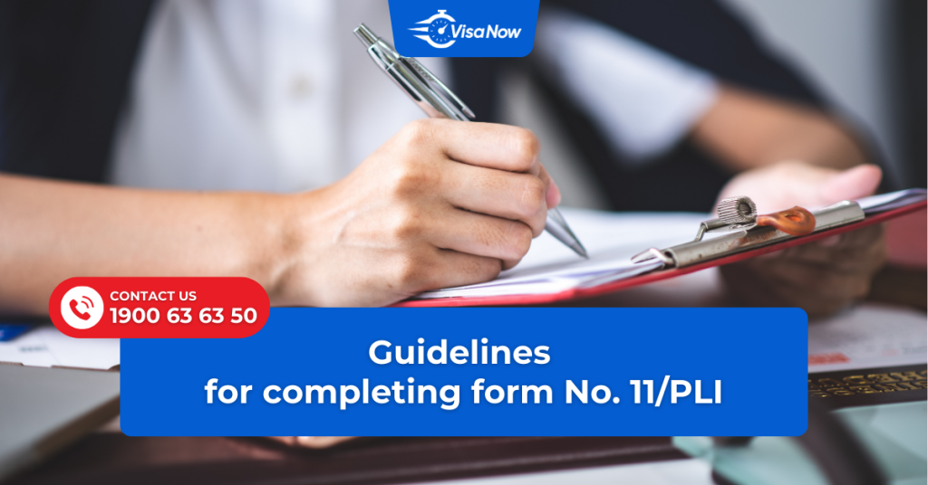Application form for work permit issuance