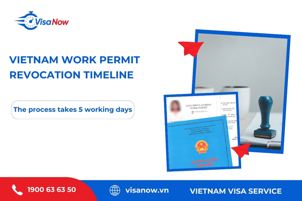 How long does the work permit revocation process take