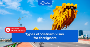 Types of vietnam visas for foreigners