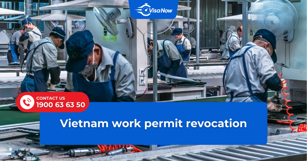 Vietnam work permit revocation